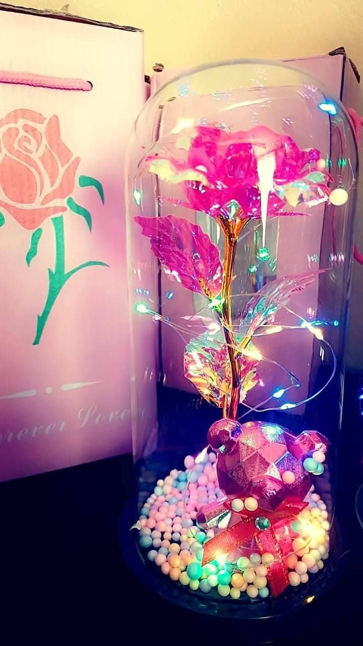 Full Single Rose